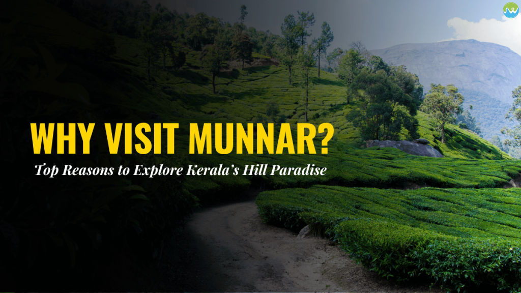 Munnar taxi service for tea garden and waterfall shightseening